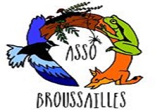 BROUSSAILLES