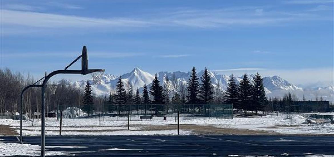 Jeux d'Hiver de l'Arctique