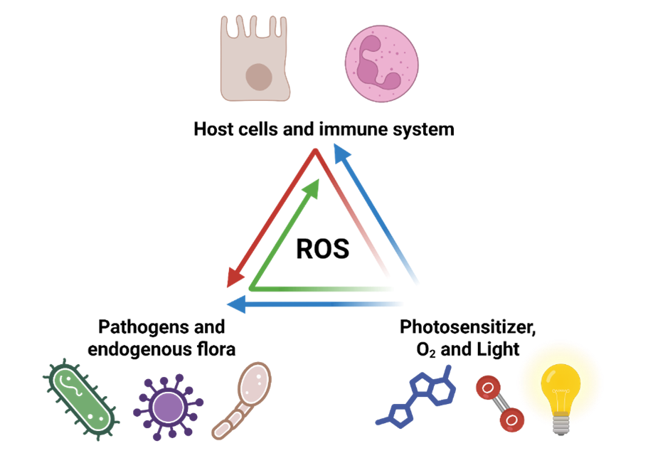 Graph abstract