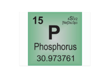 gdr phosphore