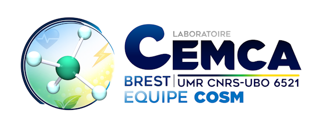 logo cosm