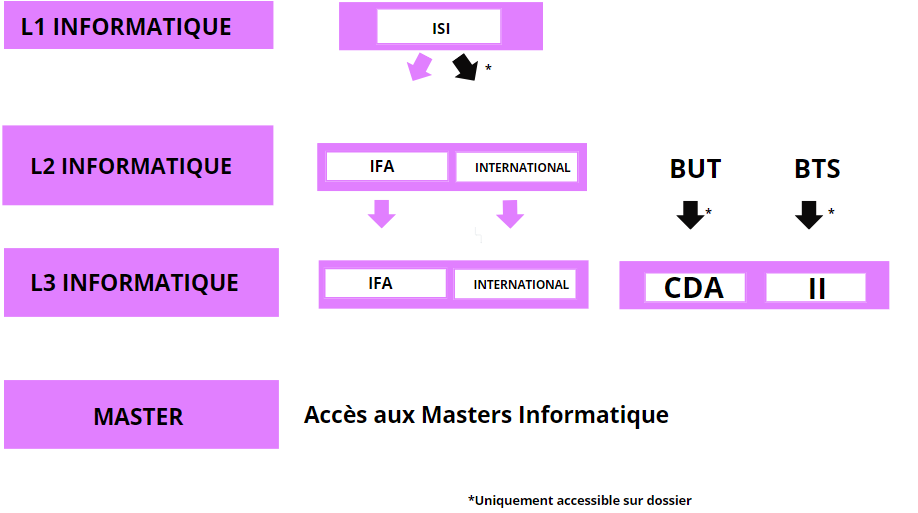 parcours_licence