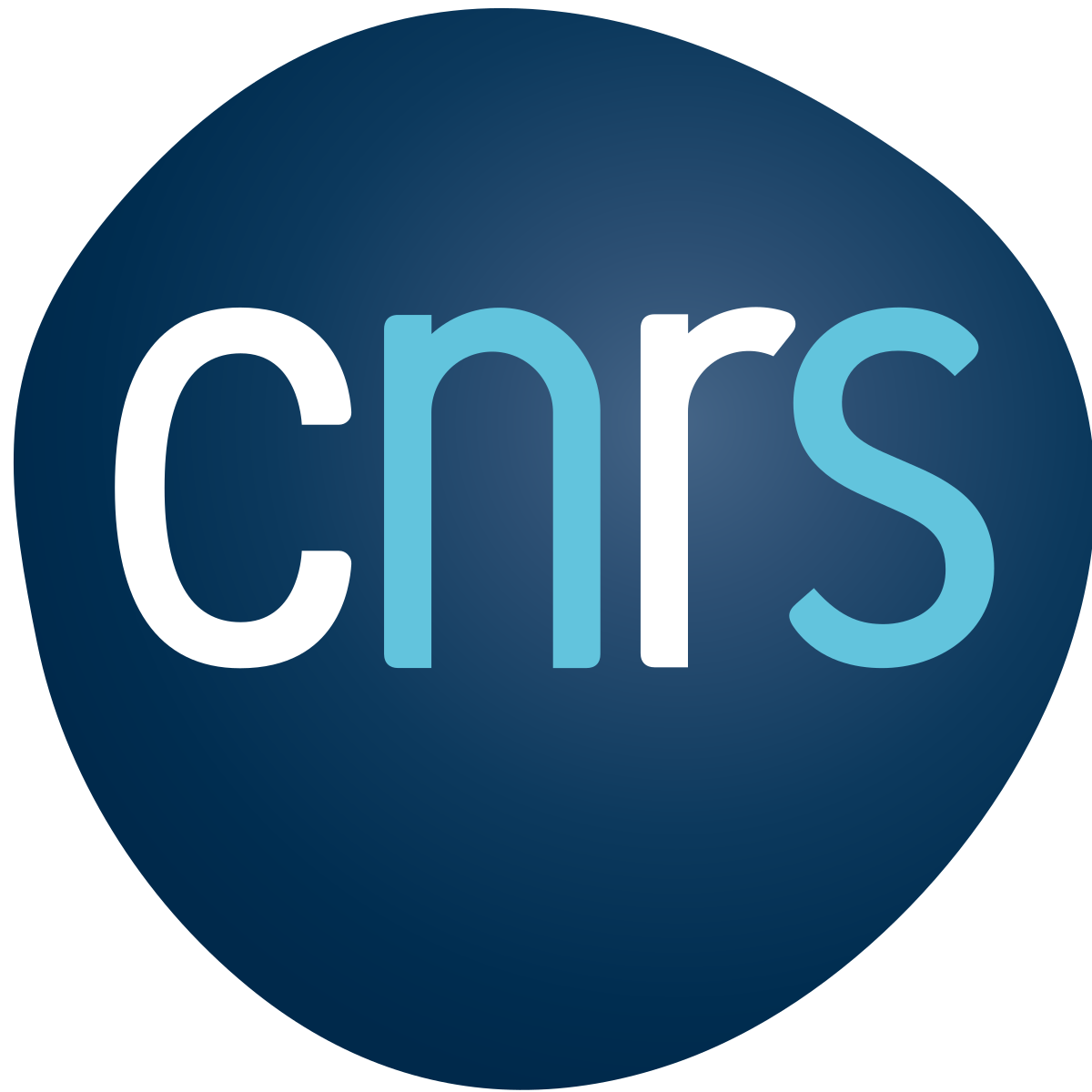 logo-cnrs-png