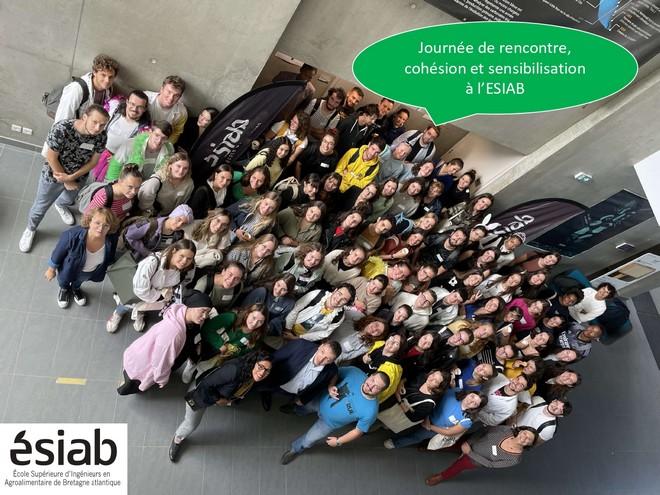 Cohésion