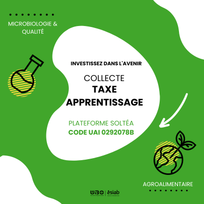 Collecte Taxe d'apprentissage 2023