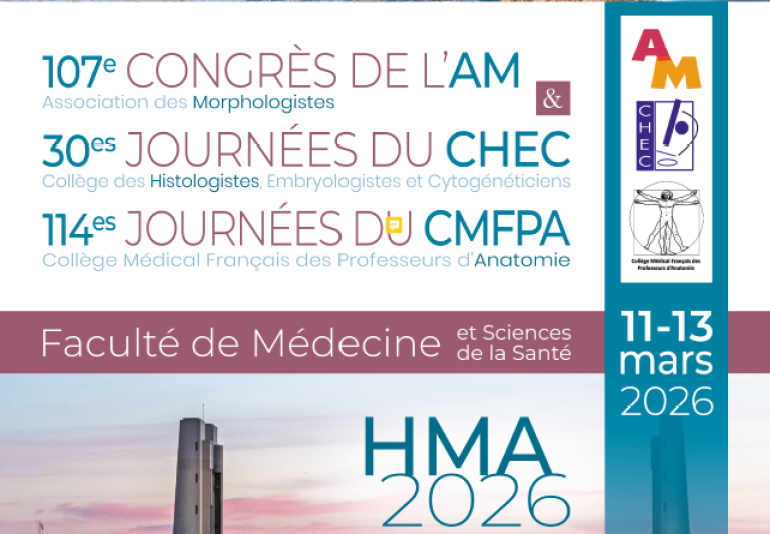 UBO - Brest Actualités