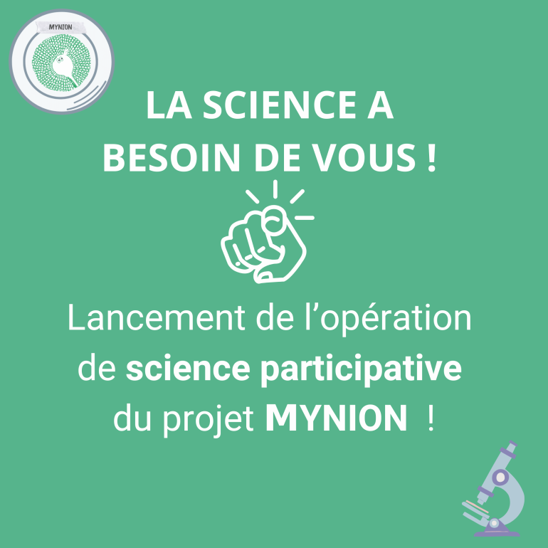 projet Mynion