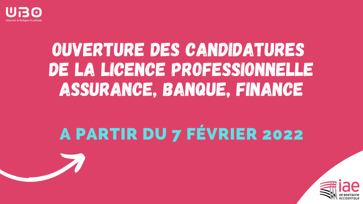 Candidatures Licence pro