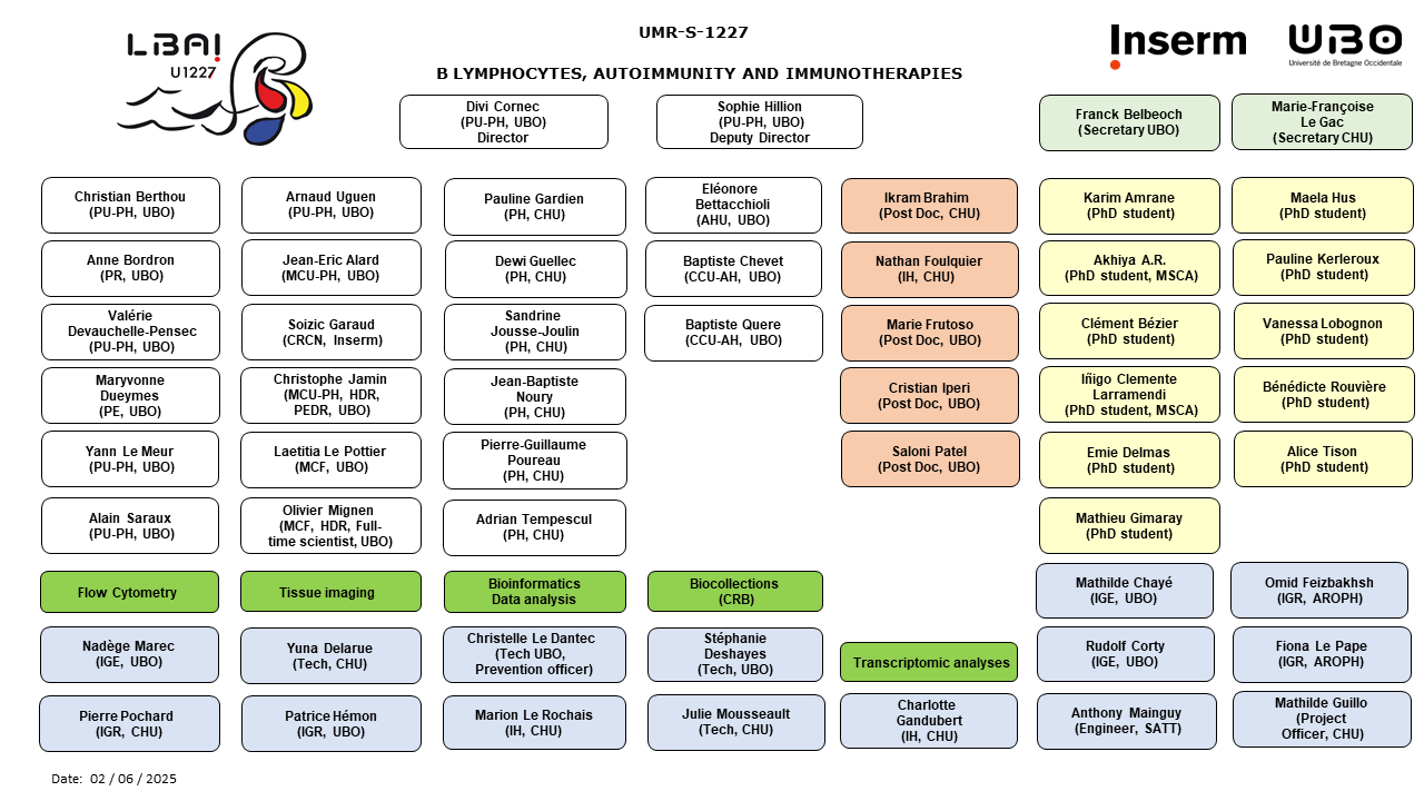 organigramme_umr1227