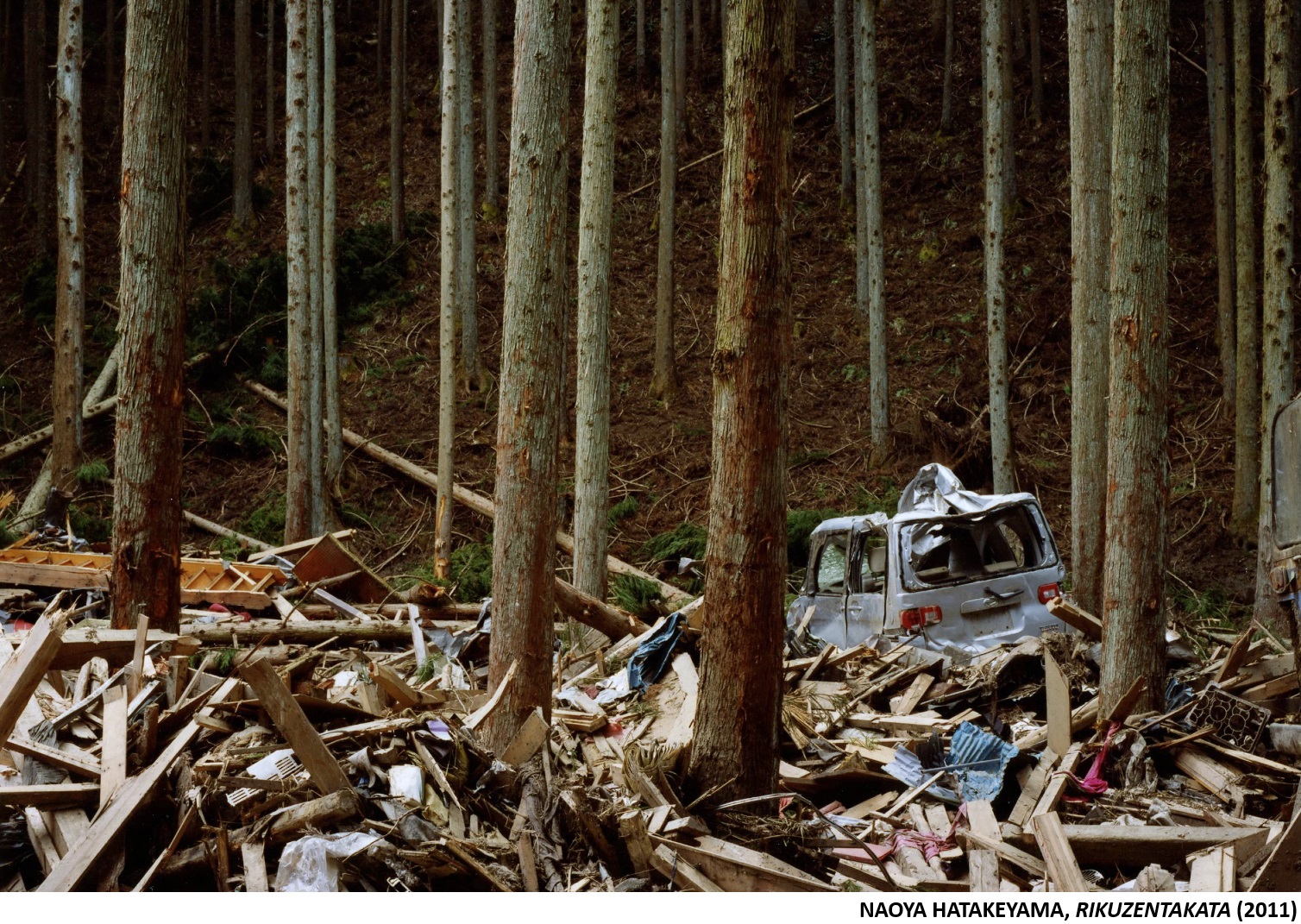 NAOYA HATAKEYAMA, Rikuzentakata