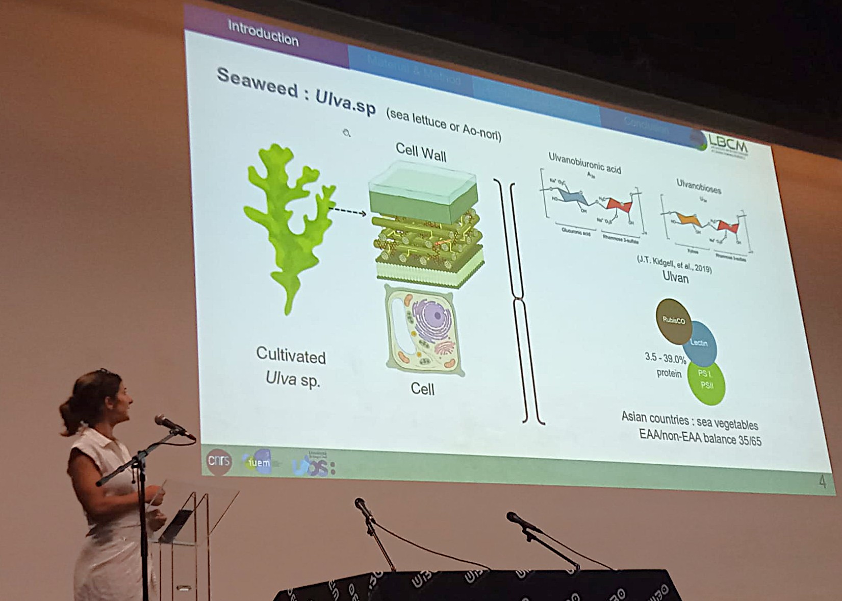Anna LBCM 2025 Brest