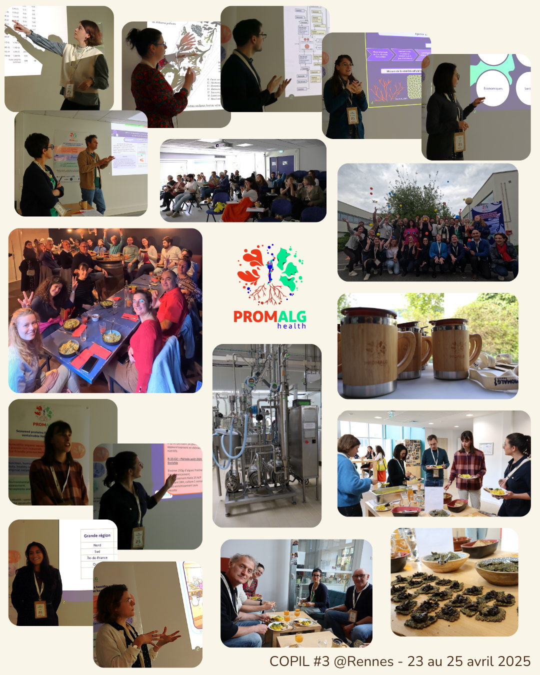 Pêle Mêle Photos COPIL #3