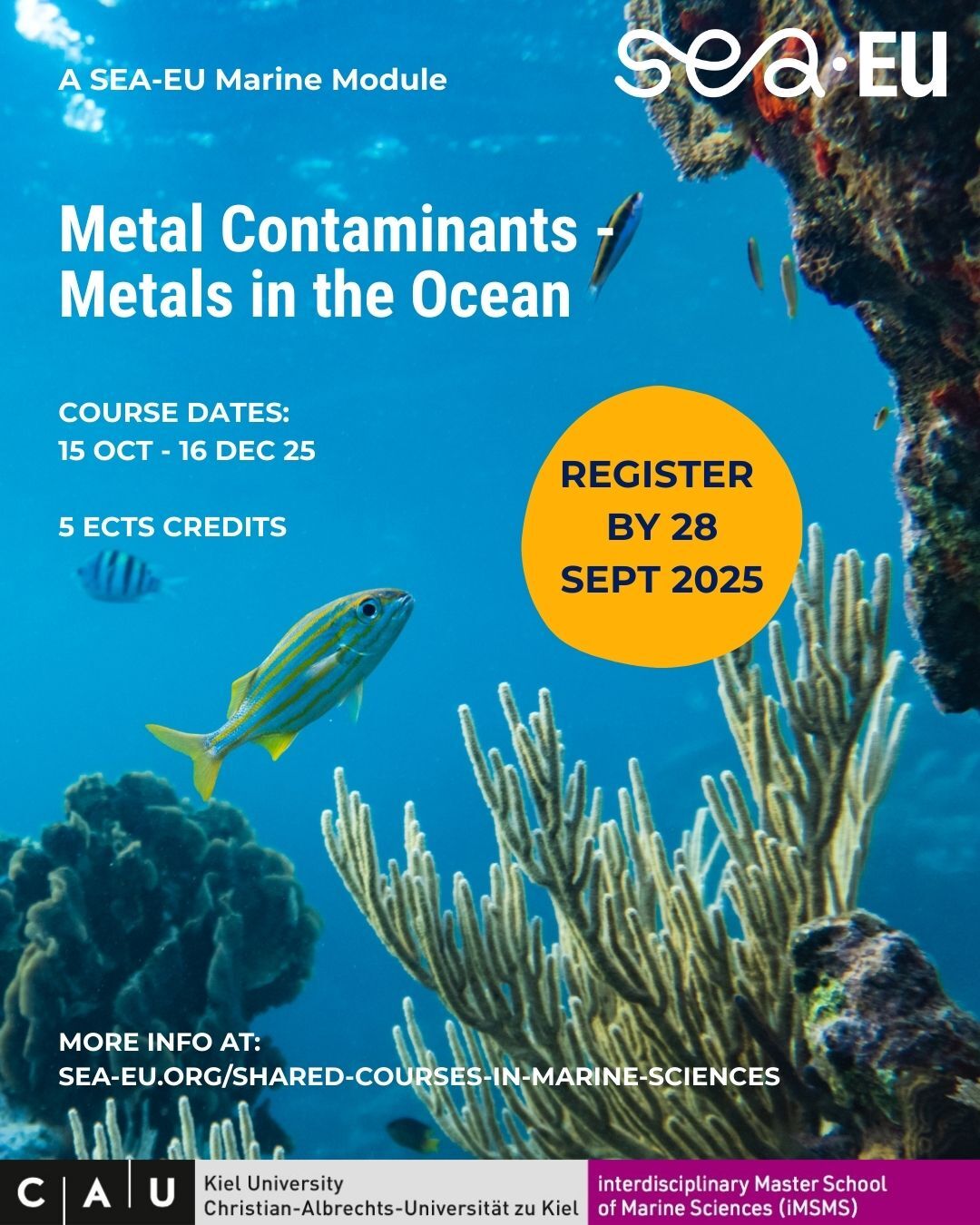 Metal Contamiants – Metals in the Ocean