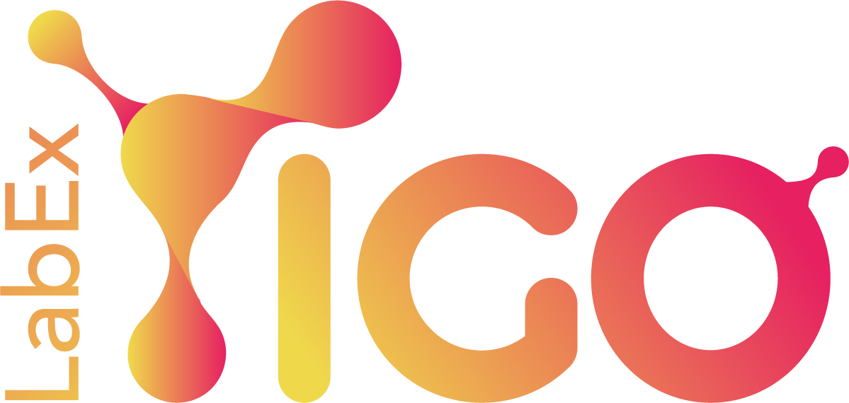 logo-labex-igo