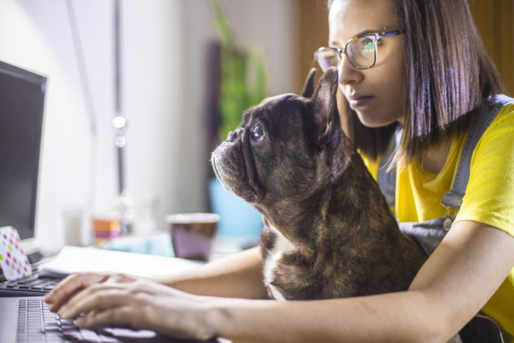 illustration chien et étudiante