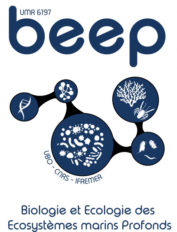 logo-beep