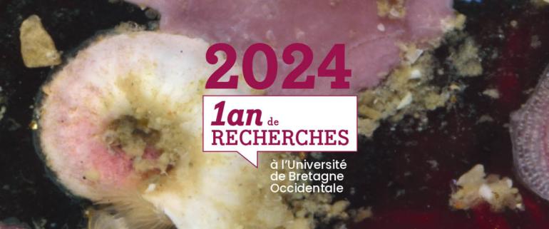 Bilan de la recherche 2024