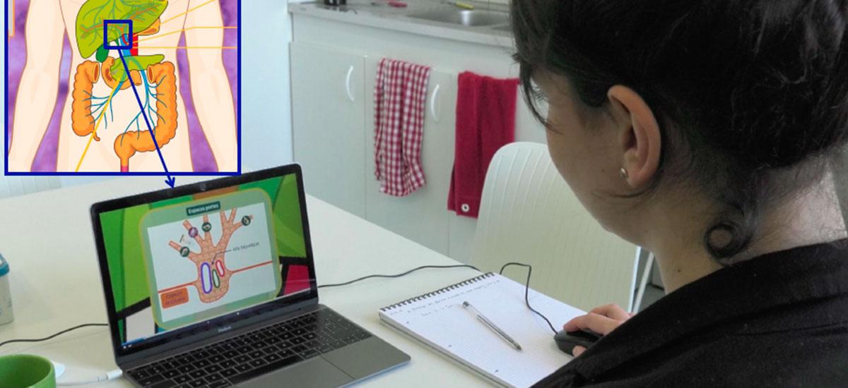 illustration de la methode echelle d'apprentissage en ligne
