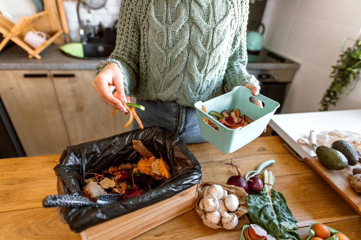 gaspillage alimentaire
