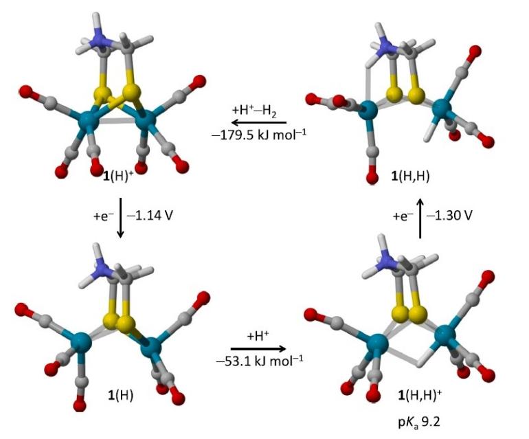 Bioelectrochem 2023