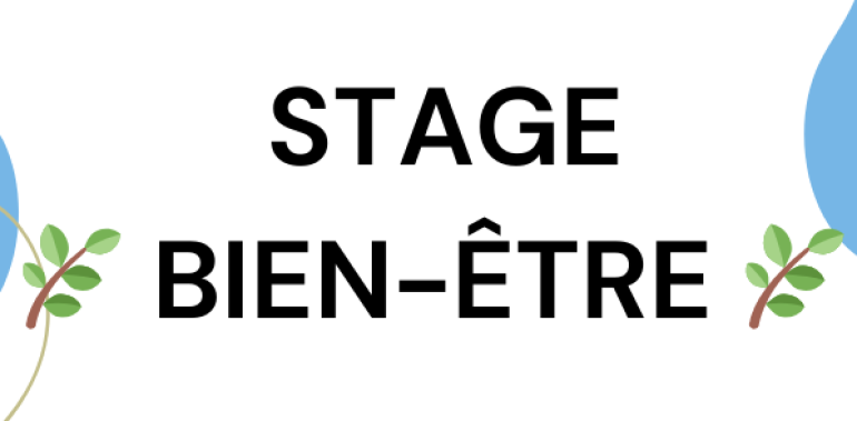 sbe perso