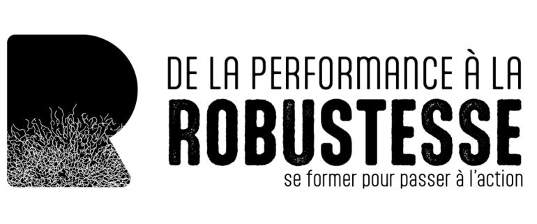 visuel robustesse