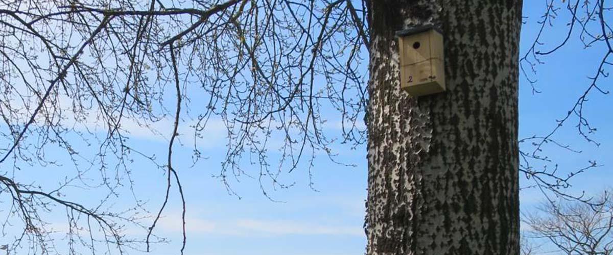 atelier_biodiversité