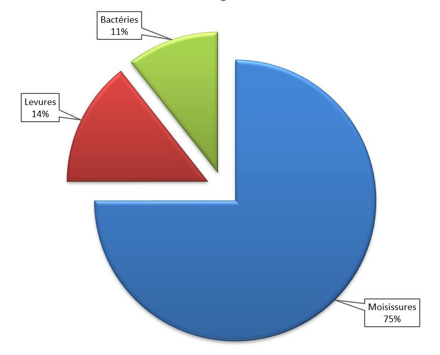 75% Moisissures - 14% Levures - 11% Bactéries