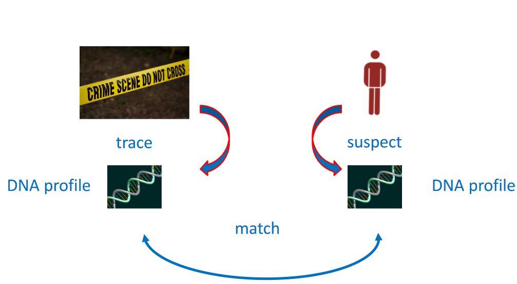 dna_profiling1