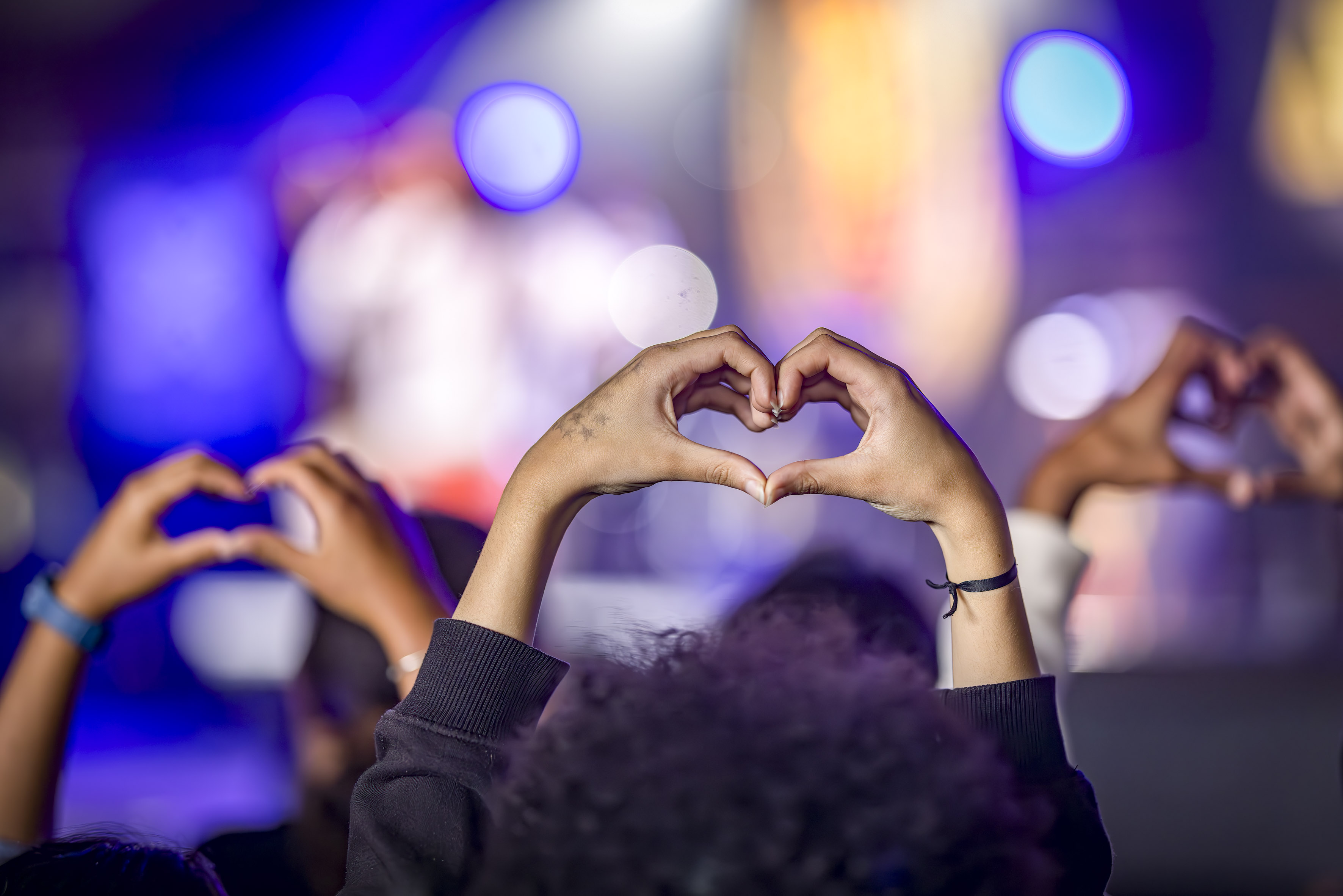 Photo d'une foule en concert