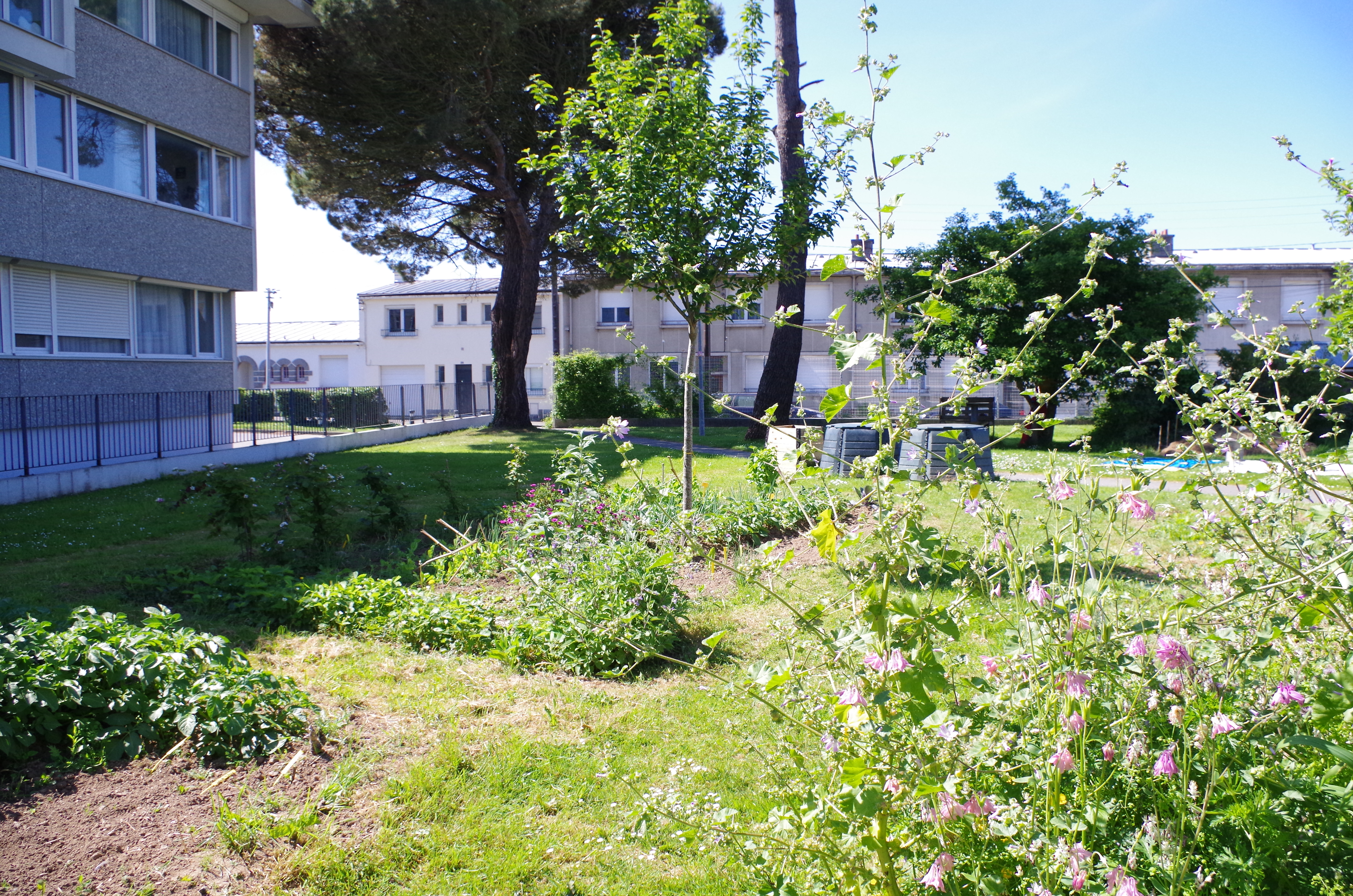 Vue des jardins partagés