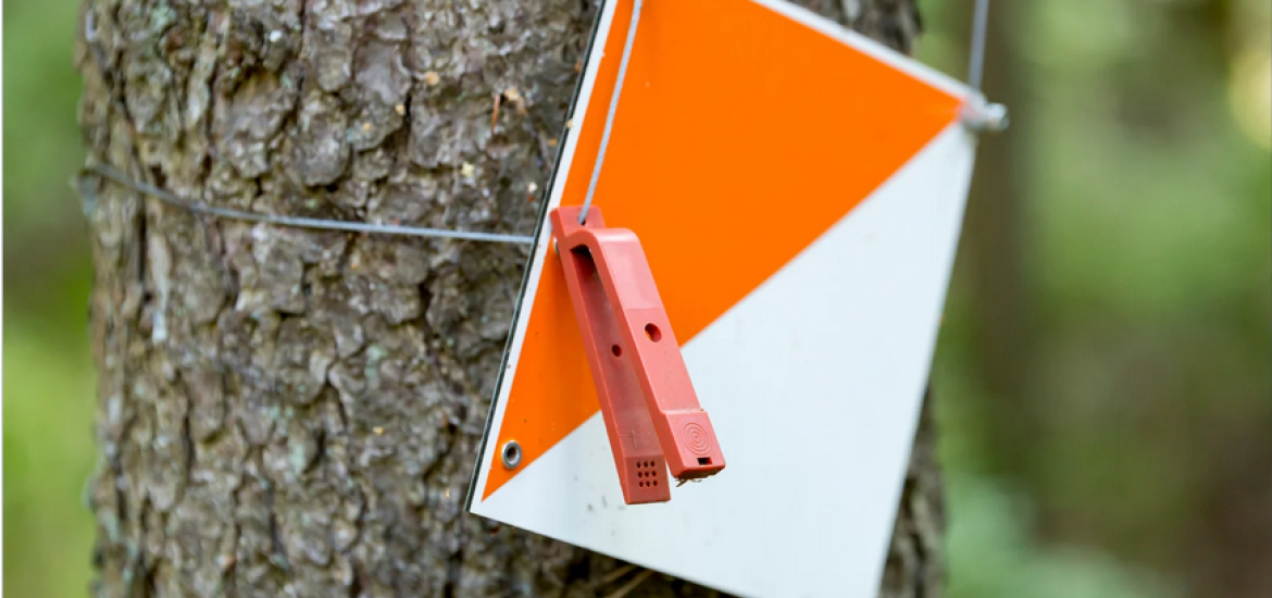 Balise de course d'orientation