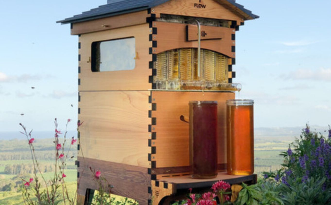 ruche en plein air avec des feuillages devant