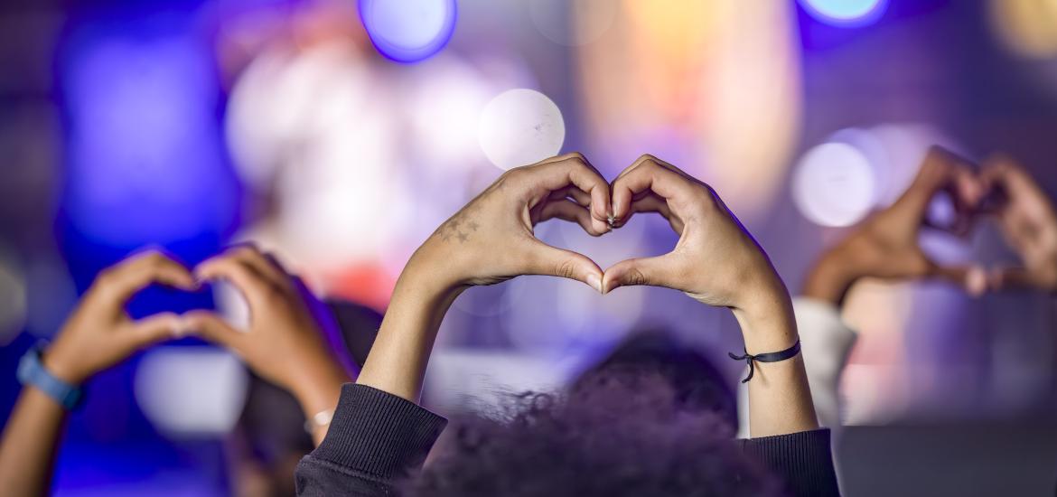 Photo d'une foule en concert