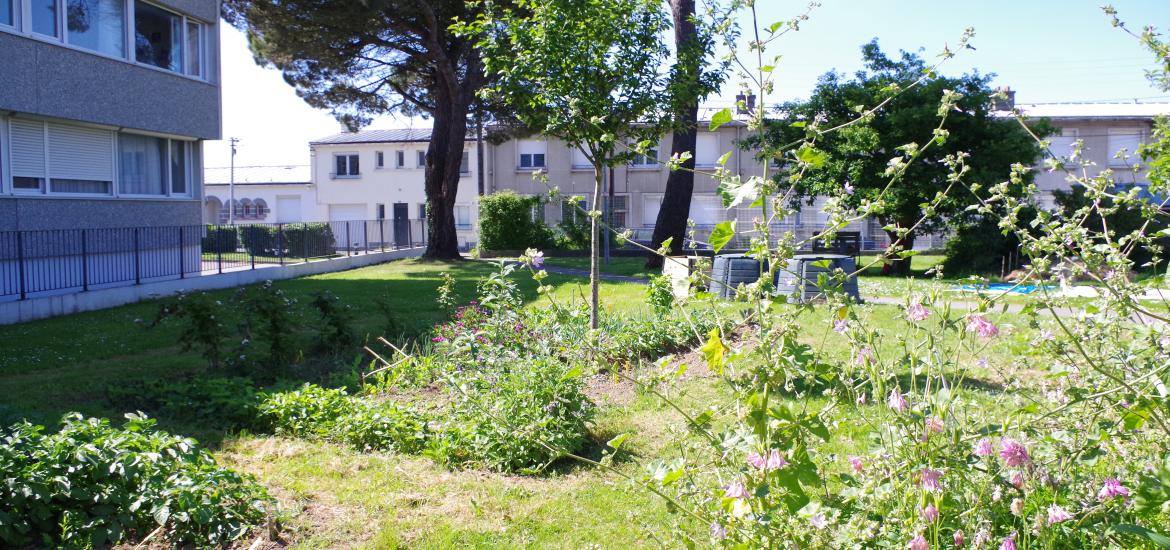 Jardin partagé du Bouguen